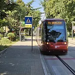 Talamini מסטרה