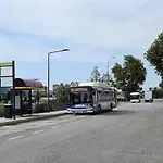 Talamini